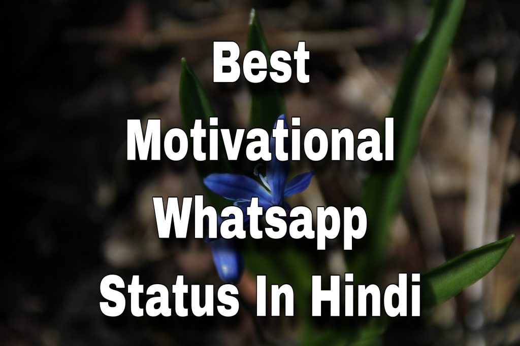 whatsapp status