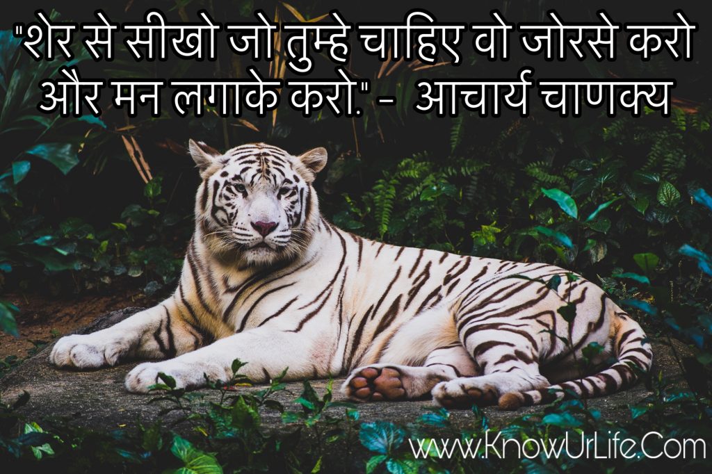 suvichar in english with meaning