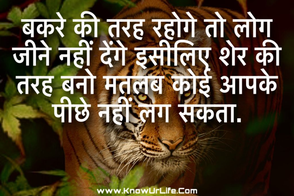 tujhe meri kasam