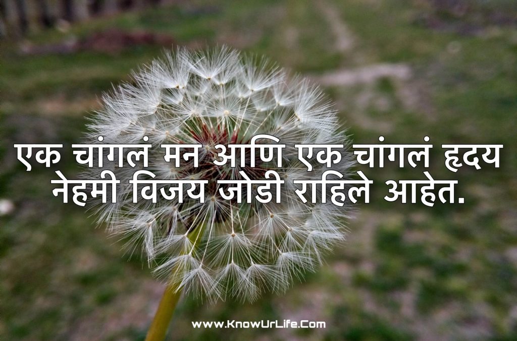 emotional status in marathi
