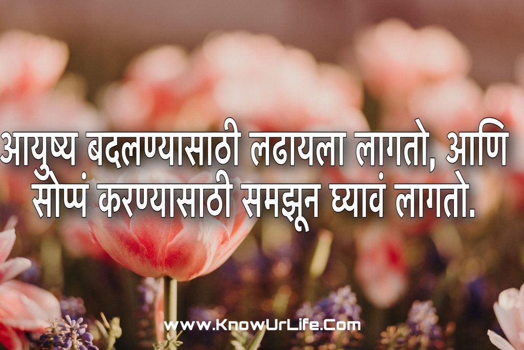 marathi dp status