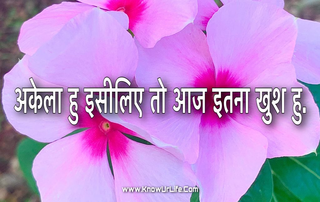 heart touching lines in hindi with images