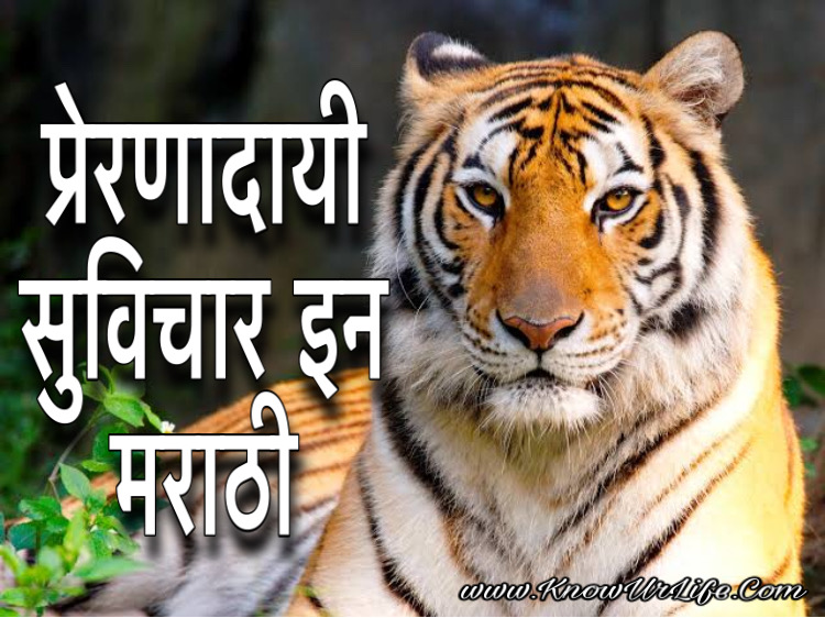 motivational images in marathi